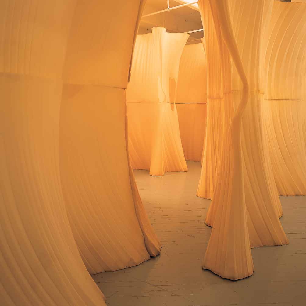Ernesto Neto